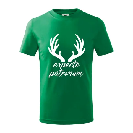 Harry - Expecto patronum