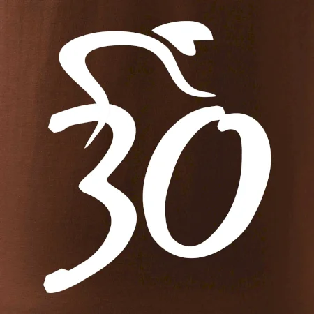 Cyklista oslavuje tridsiatku (30)