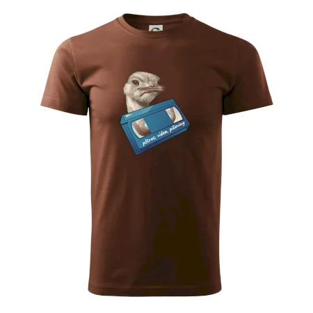 Pštrosi vídea