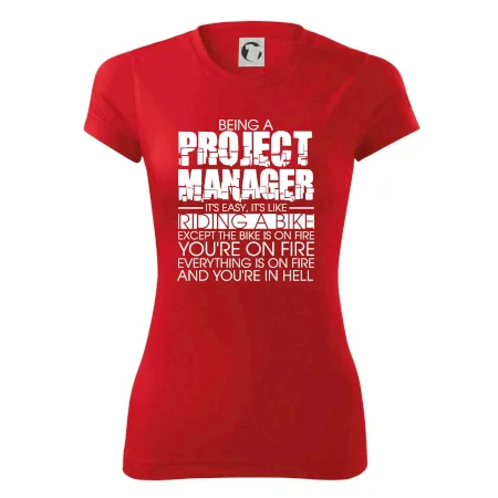 Being A Project Manager - bike