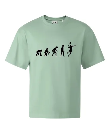 Evolúcia Bedminton