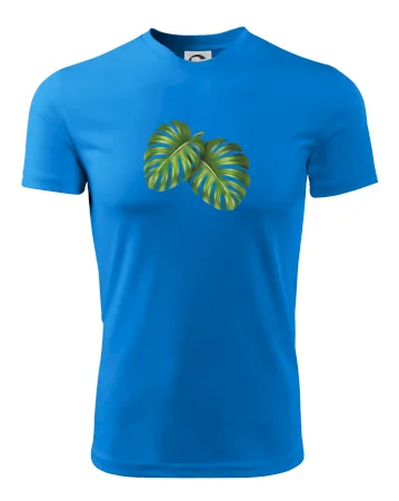 Monstera - dva listy