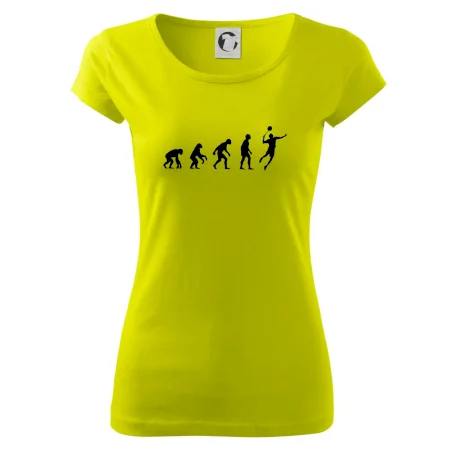 Evolúcia Bedminton