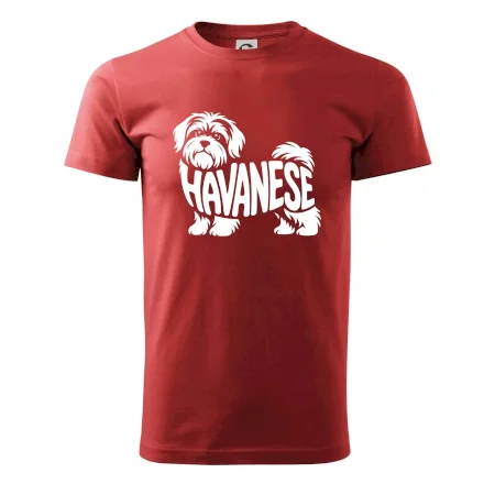 Havanese nápis v tele