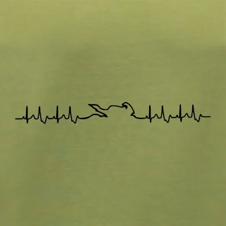 Moto EKG