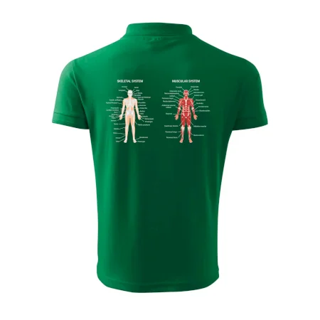 Skelet and Moscular system