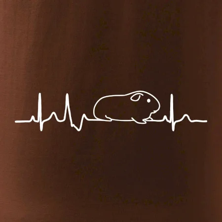 EKG morča