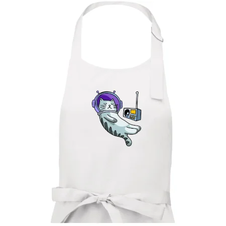 Mačka na mesiaci