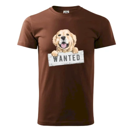 Zlatý retriever - šteniatko wanted