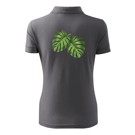 Monstera - dva listy
