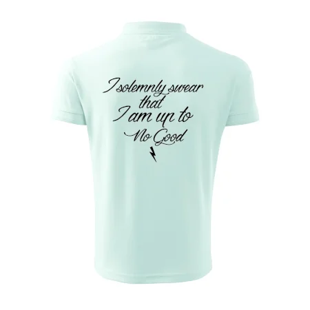I solemnly swear that I'm up to no good