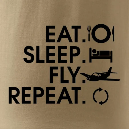 Eat sleep fly repeat