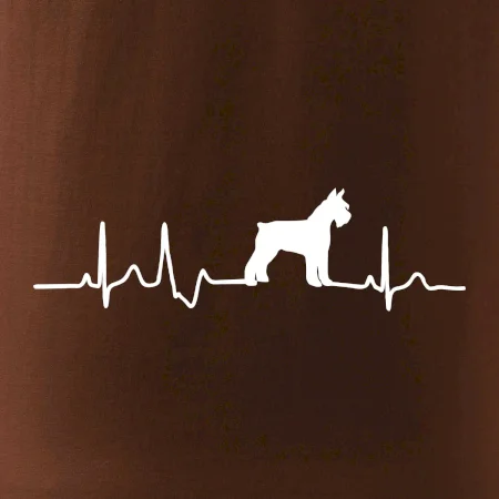 Ekg bradáč telo