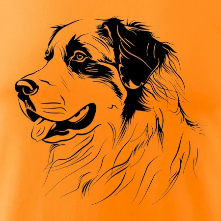 Bernský salašnícky pes čierna kresba