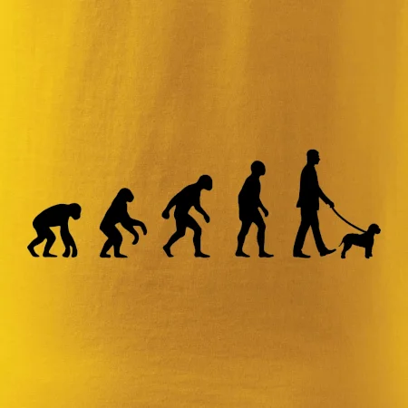 Lagotto romagnolo Evolúcia