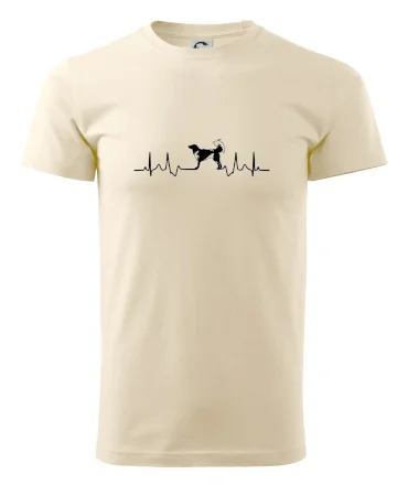 Český strakatý pes EKG