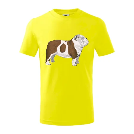 Vintage English bulldog