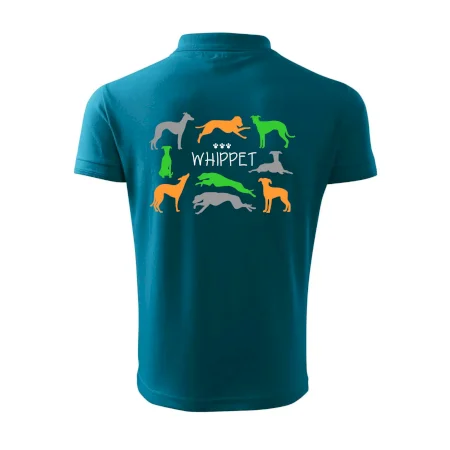 Whippet farebný