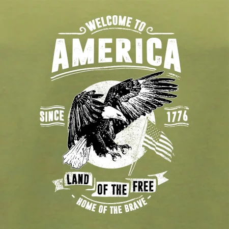 Welcome To America