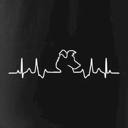 Borderská kólia EKG