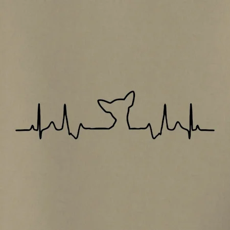 Čivava EKG