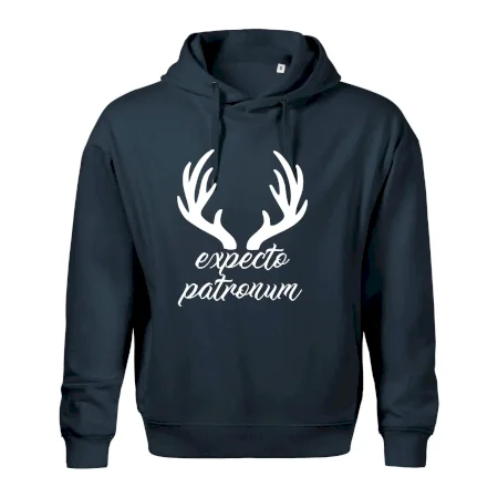 Harry - Expecto patronum