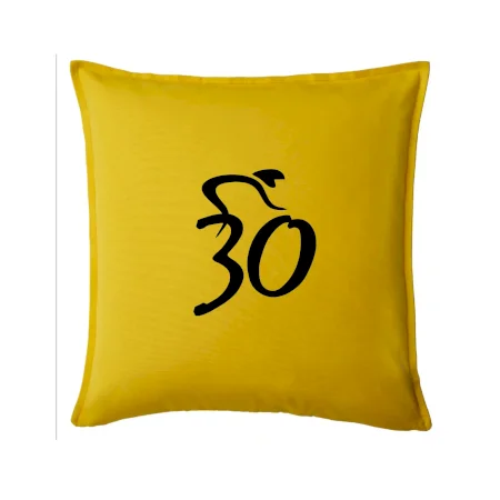 Cyklista oslavuje tridsiatku (30)