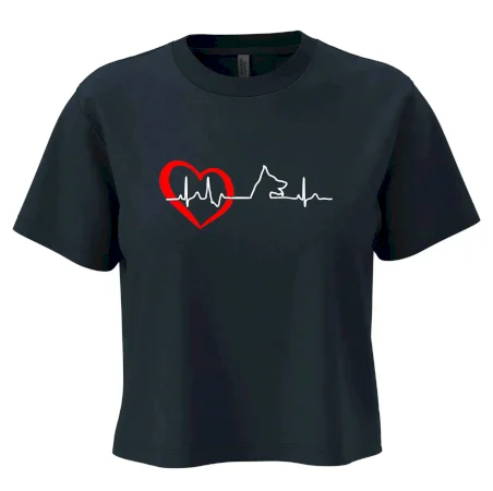 Nemecký ovčiak ekg