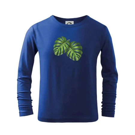 Monstera - dva listy
