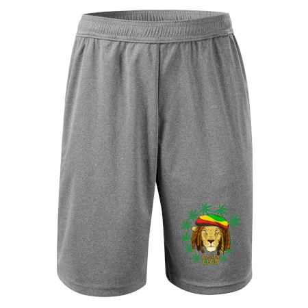 Rasta Lion
