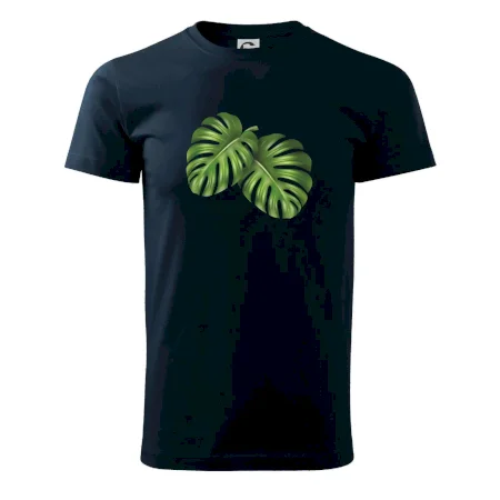 Monstera - dva listy