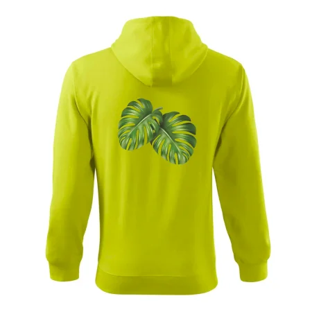 Monstera - dva listy