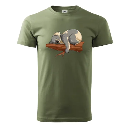 Koala na vetve
