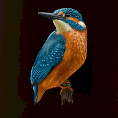 Ľadnáčik kreslený