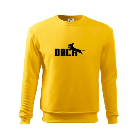 Jazvečík Dach