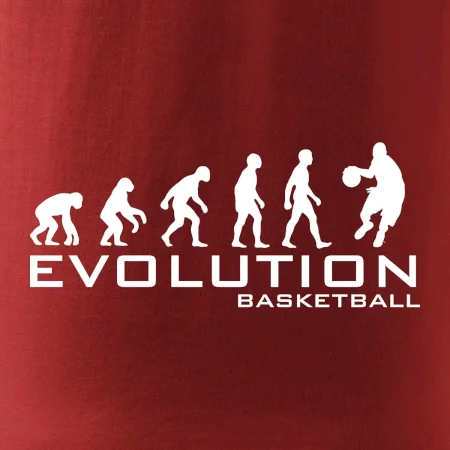 Evolúcia Basketball