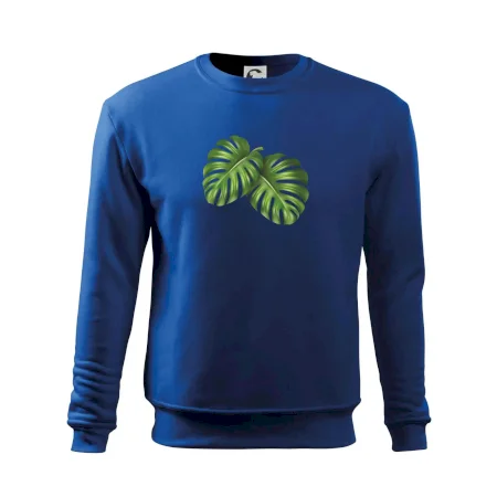 Monstera - dva listy