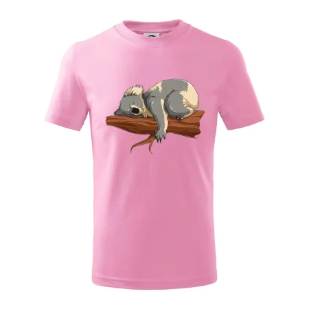 Koala na vetve
