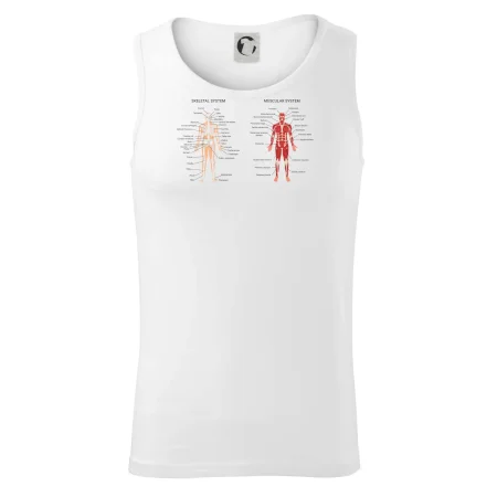 Skelet and Moscular system