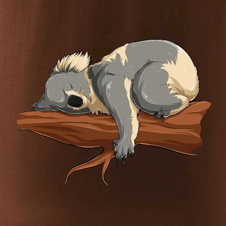 Koala na vetve