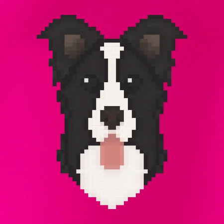 Border kólia Pixel