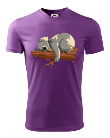 Koala na vetve
