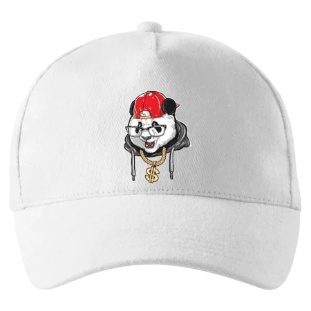 Hip hop panda