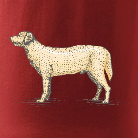 Vintage Labrador