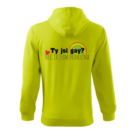 Gay princezna