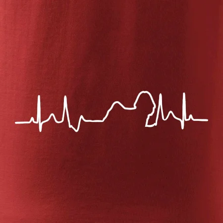 Shih-tzu ekg obrys