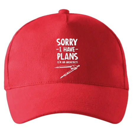 Sorry I have plans - architect