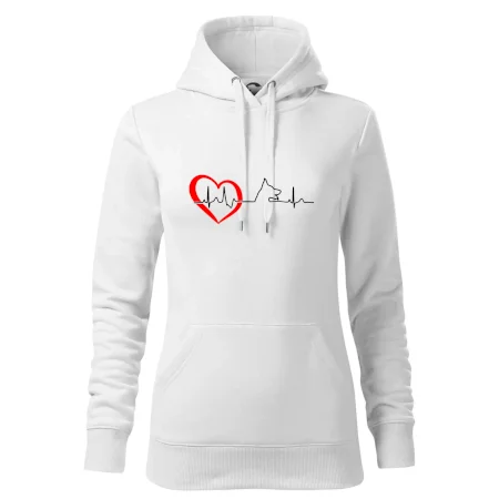 Nemecký ovčiak ekg
