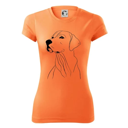 Labrador čierna kresba