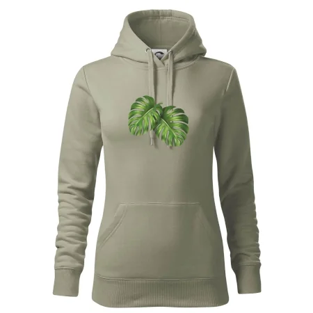 Monstera - dva listy
